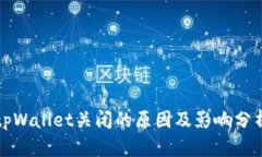 tpWallet关闭的原因及影响分