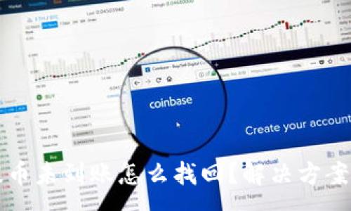 :
tpWallet提币未到账怎么找回？解决方案与注意事项