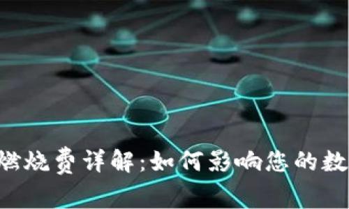 tpWallet燃烧费详解：如何影响您的数字资产投资