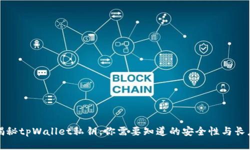 揭秘tpWallet私钥：你需要知道的安全性与长度