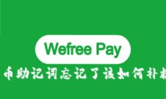 派币助记词忘记了该如何
