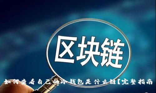 如何查看自己的冷钱包是什么链？完整指南