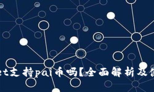 tpWallet支持pai币吗？全面解析及使用指南