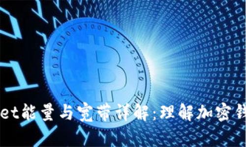 ### tpWallet能量与宽带详解：理解加密钱包的两大要素