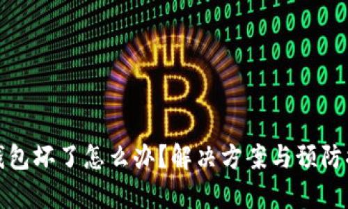 数字货币冷钱包坏了怎么办？解决方案与预防措施全面解析