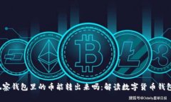 wallet 观察钱包里的币能转