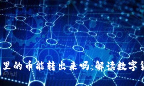 wallet 观察钱包里的币能转出来吗：解读数字货币钱包转账机制