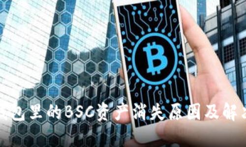 : TP钱包里的BSC资产消失原因及解决方案