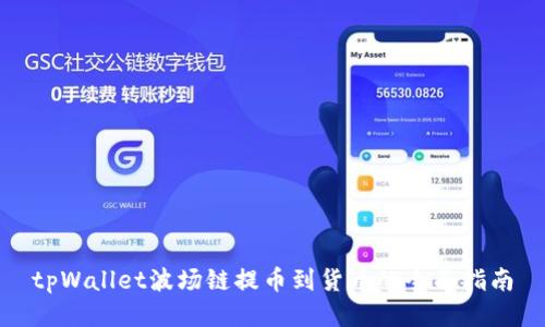 tpWallet波场链提币到货币的全面指南