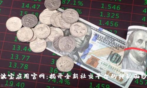 波宝应用官网：揭开全新社交平台的神秘面纱