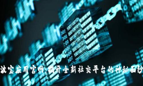 波宝应用官网：揭开全新社交平台的神秘面纱