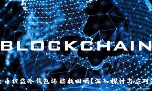:
泰达币被盗冷钱包还能找回吗？深入探讨与应对策略
