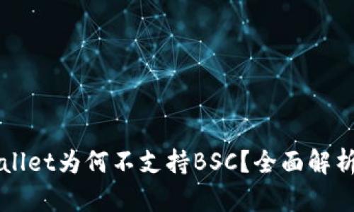 桌面版tpWallet为何不支持BSC？全面解析与解决方案