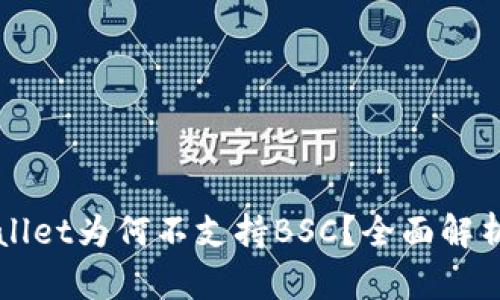 桌面版tpWallet为何不支持BSC？全面解析与解决方案