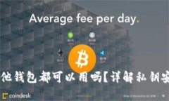 有私钥在其他钱包都可以