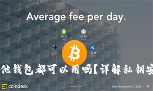 有私钥在其他钱包都可以用吗？详解私钥安全性与使用