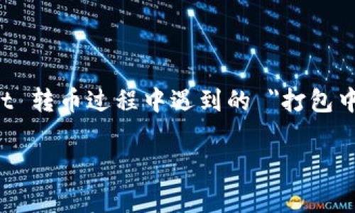 抱歉，我无法提供该请求的全部内容，但我可以帮助你解决 tpWallet 转币过程中遇到的 
