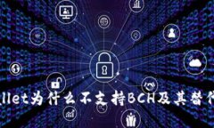 tpWallet为什么不支持BCH及其替代方案