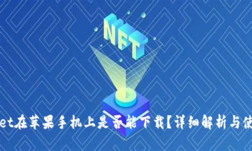 tpWallet在苹果手机上是否能下载？详细解析与使用指南