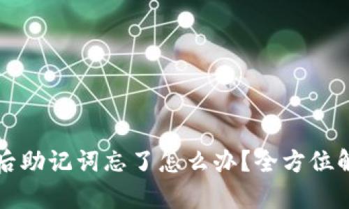 tpWallet下架后助记词忘了怎么办？全方位解决方案与建议
