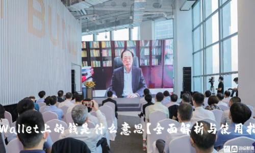 tpWallet上的钱是什么意思？全面解析与使用指南
