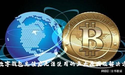 : 数字钱包充值后无法使用的五大原因及解决方法
