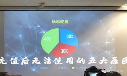 : 数字钱包充值后无法使用的五大原因及解决方法