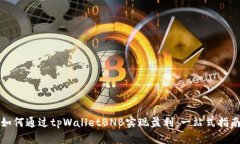 如何通过tpWalletBNB实现盈利