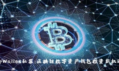 tpWallet私募：区块链数字资产钱包投资新机遇