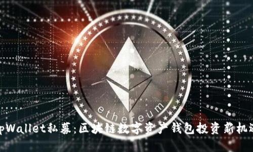 tpWallet私募：区块链数字资产钱包投资新机遇