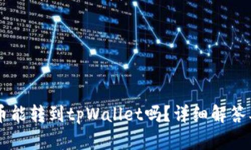 im钱包的币能转到tpWallet吗？详细解答及操作指南