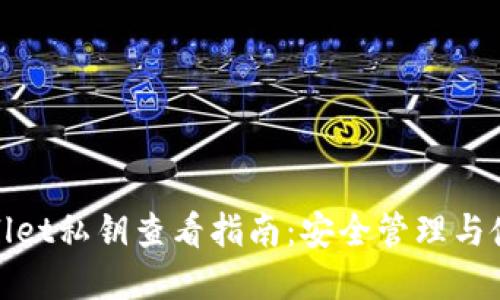 : tpWallet私钥查看指南：安全管理与使用技巧