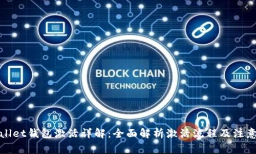 tpWallet钱包激活详解：全面解析激活流程及注意事项