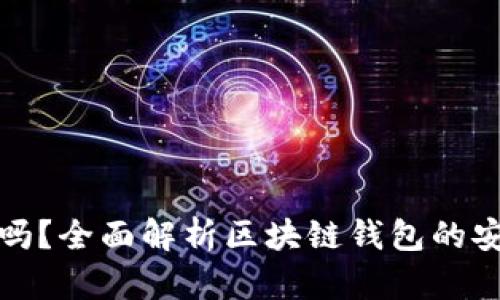 区块链钱包安全吗？全面解析区块链钱包的安全性与防护措施