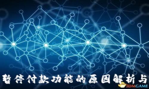   
数字钱包暂停付款功能的原因解析与应对策略