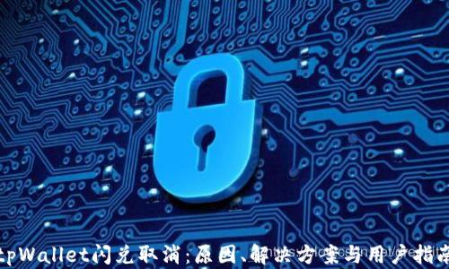 
tpWallet闪兑取消：原因、解决方案与用户指南