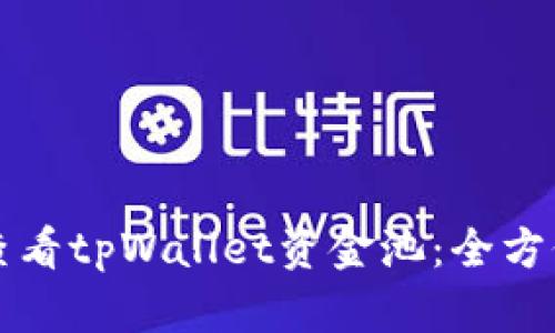 如何查看tpWallet资金池：全方位指南
