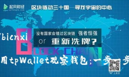 bicnxi/bicnxi

如何使用tpWallet观察钱包：一步一步的指南