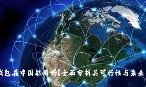 IM钱包在中国能用吗？全面分析其可行性与未来发展