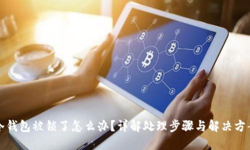冷钱包被锁了怎么办？详解处理步骤与解决方案