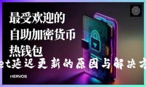 tpWallet延迟更新的原因与解决方案详解