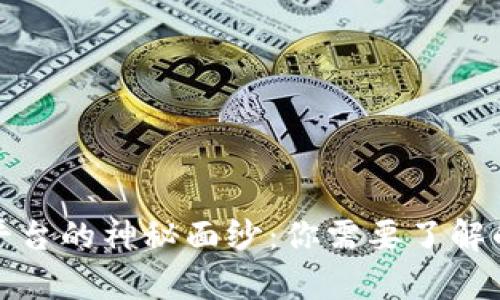 揭开提币平台的神秘面纱：你需要了解的所有信息