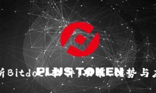全面解析Bitdock软件：功能、优势与应用场景