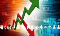 深入了解Bee币团队：构建