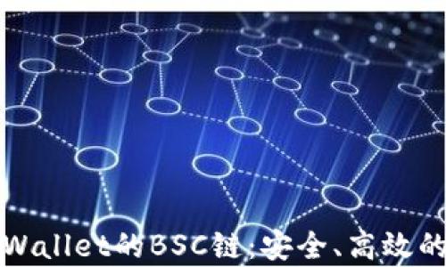 
全面解析tpWallet的BSC链：安全、高效的区块链钱包