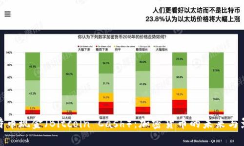 比特币现金（Bitcoin Cash）：加密货币的未来与影响