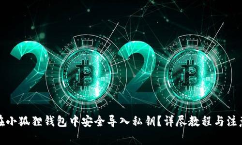 如何在小狐狸钱包中安全导入私钥？详尽教程与注意事项
