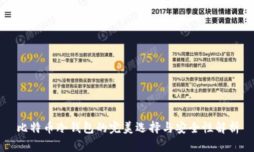 比特币冷钱包的完美选择与安全性解析