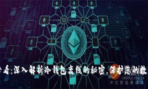 2025必看：深入解析冷钱包离线的秘密，保护您的数字资产!