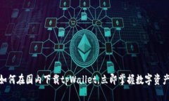 2025必看：如何在国内下载